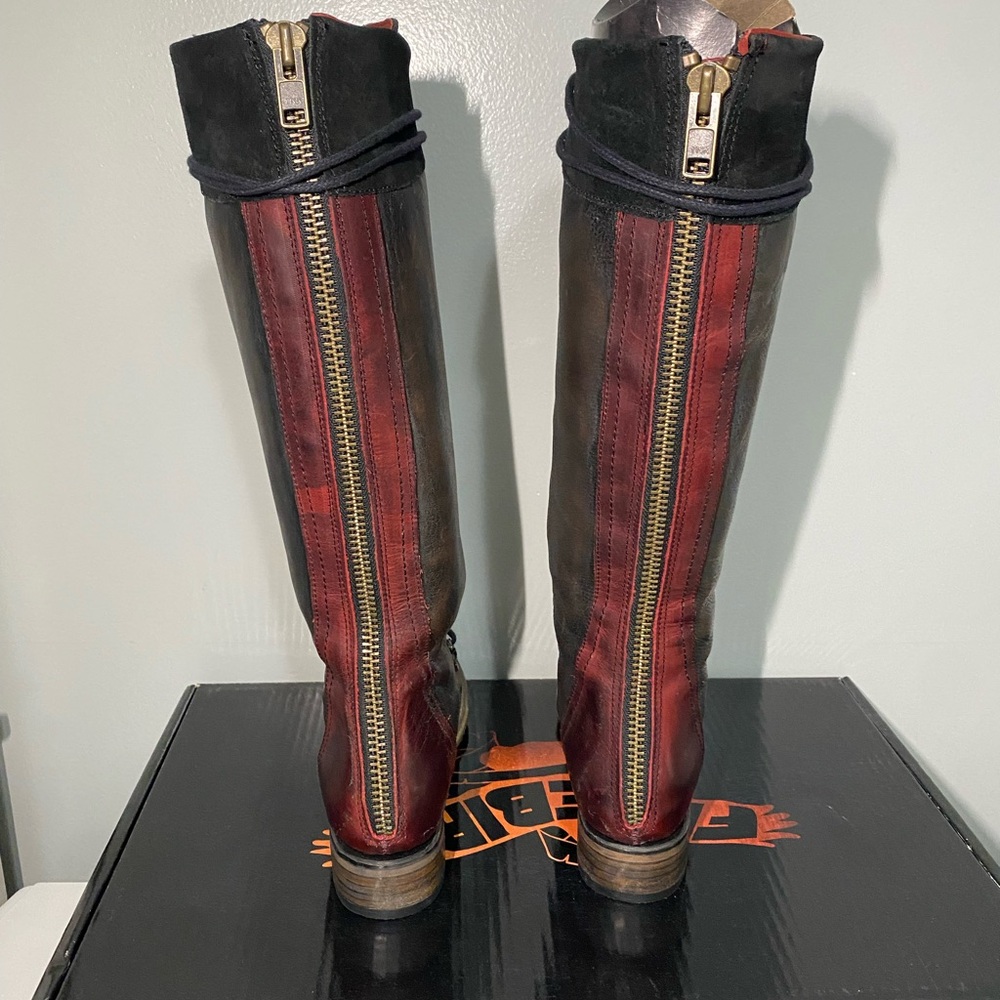 **SOLD**Freebird Raphael - Picture 4 of 7